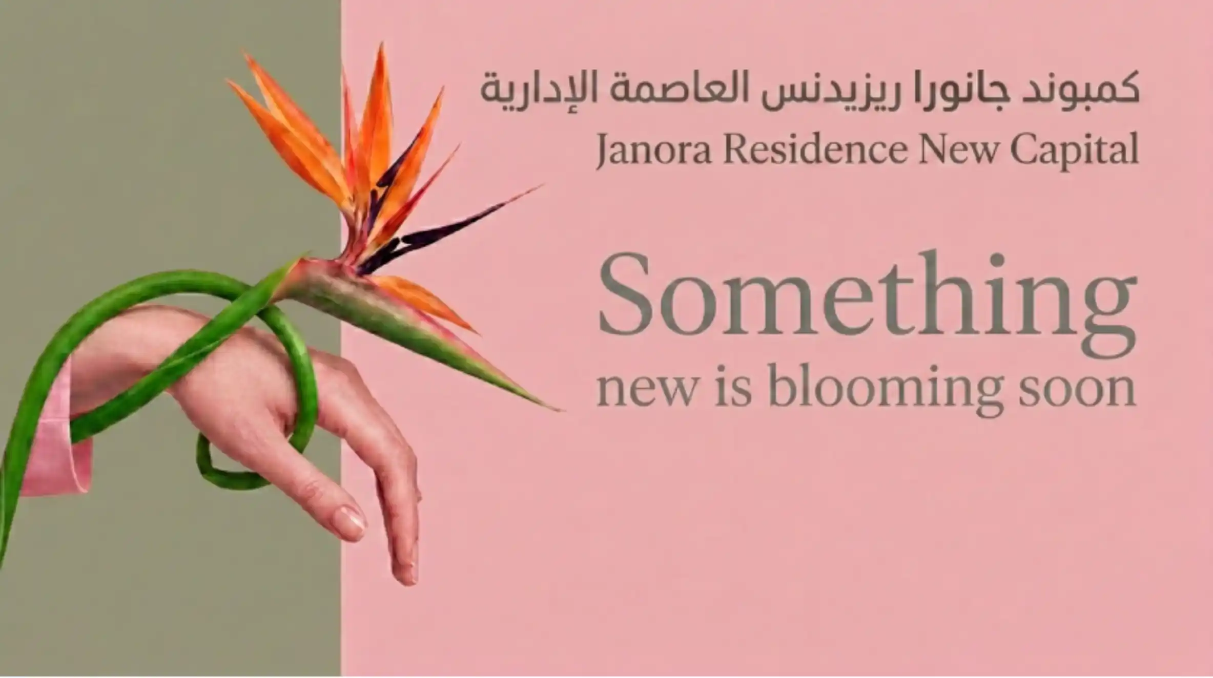 جانورا ريزيدنس العاصمة الإدارية Janora Residence New Capital