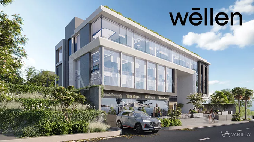 wellen Medical Hub New Cairo