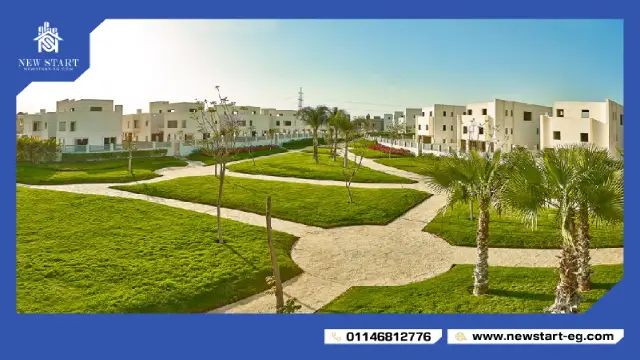كمبوند كليوباترا سكوير الشيخ زايد