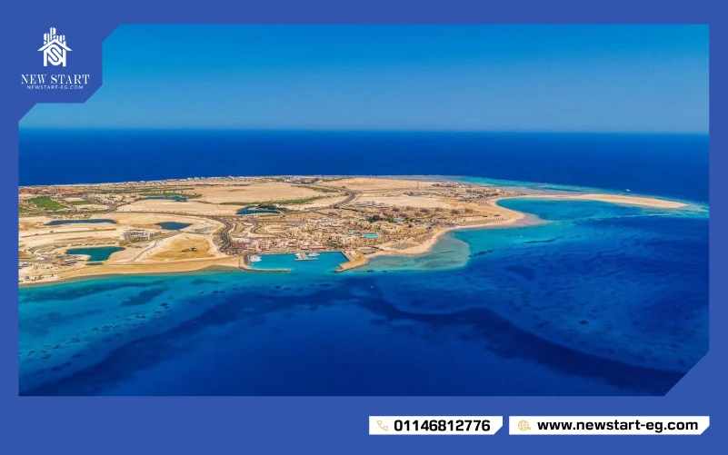 مراسي ريد البحر الاحمر اعمار