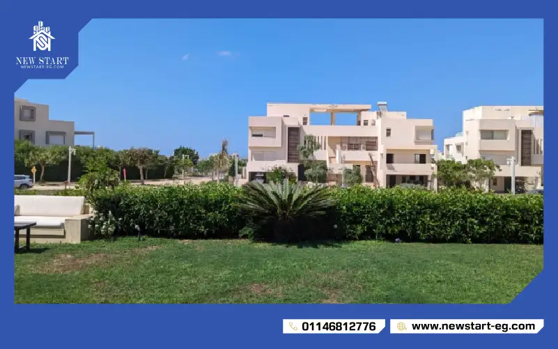 هاسيندا وايت
