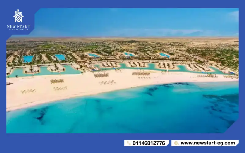 الفرق بين هاسيندا وايت وهاسيندا باي