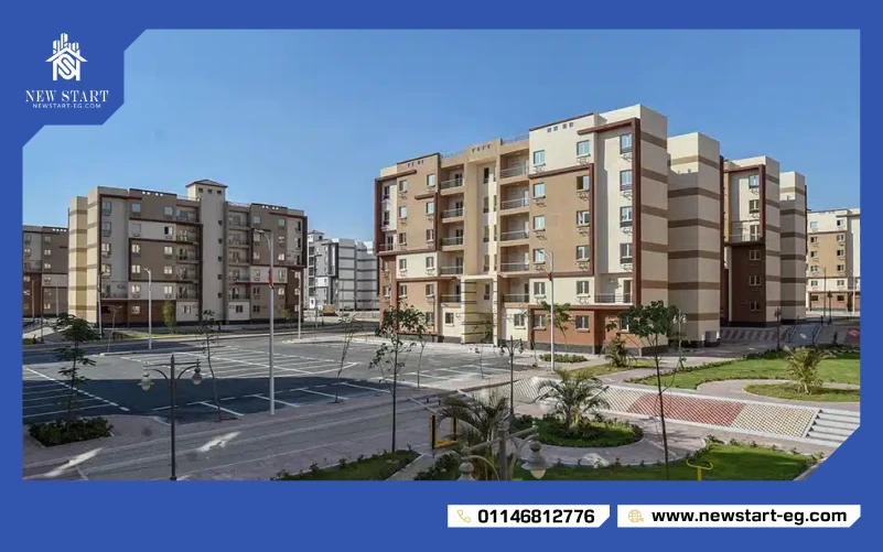 مدينة بدر