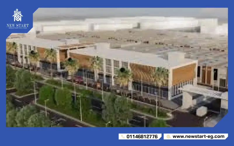شركة AMD Developments