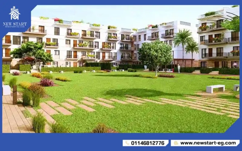 مشروع بالم هيلز زايد معرض سيتي سكيب 2025 مصر