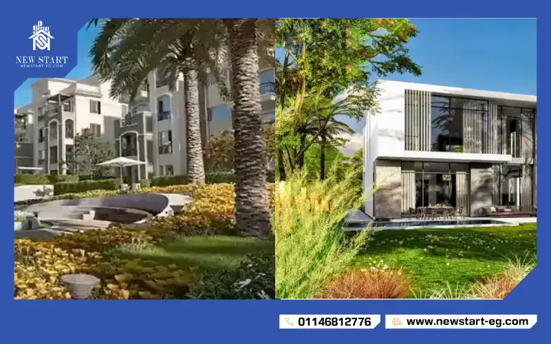 زيد ايست & القطامية