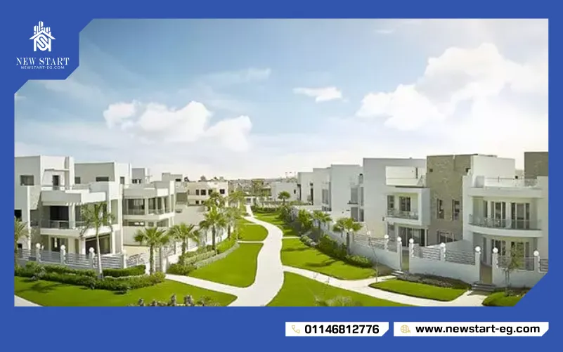 كليوباترا سكوير الشيخ زايد