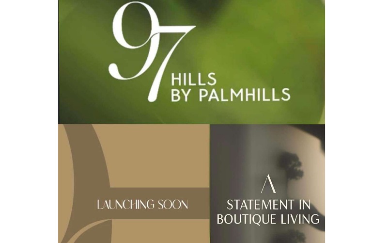 مشروع شركة بالم هيلز 