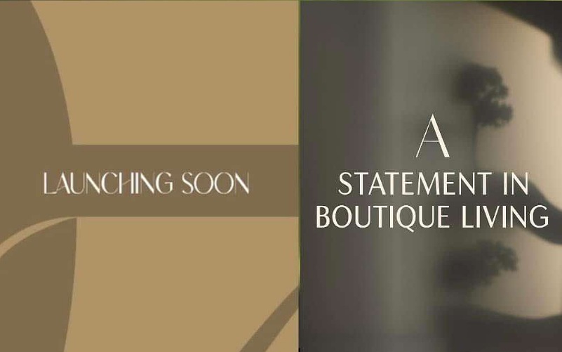 مشروع شركة بالم هيلز الجديد 