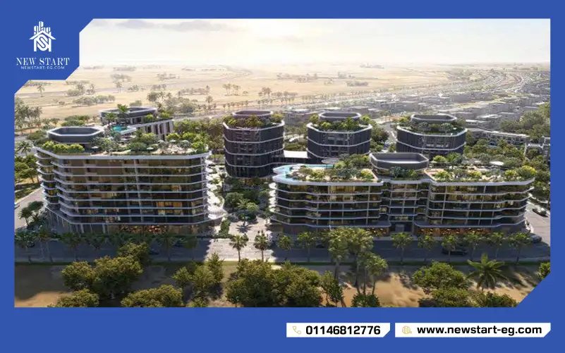 مساحة دو بوتيك هوتيلز القاهرة الجديدة