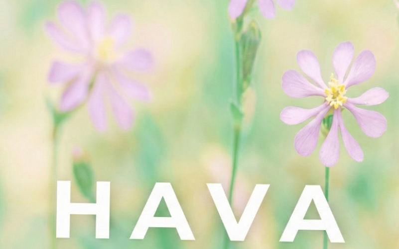 مشروع هافا العاصمة الإدارية 