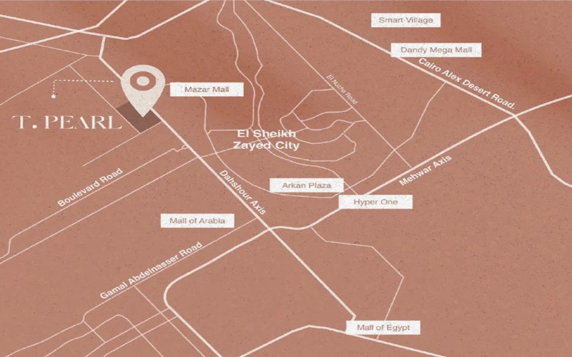 موقع مشروع تي بيزل زايد الجديدة 