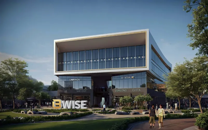 بي وايز مول