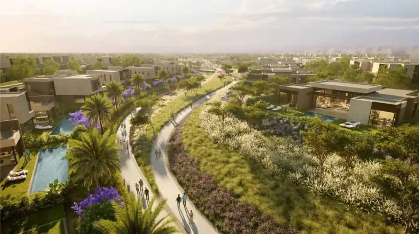 سولا نيو زايد 