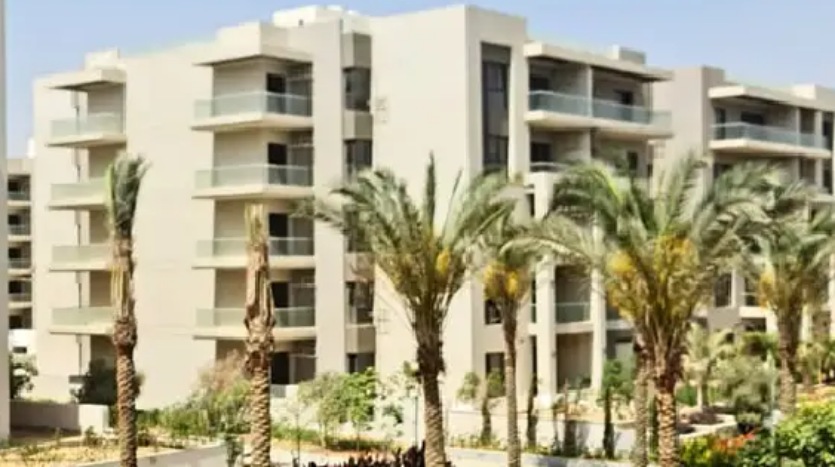 مشروع ذا ادريس 