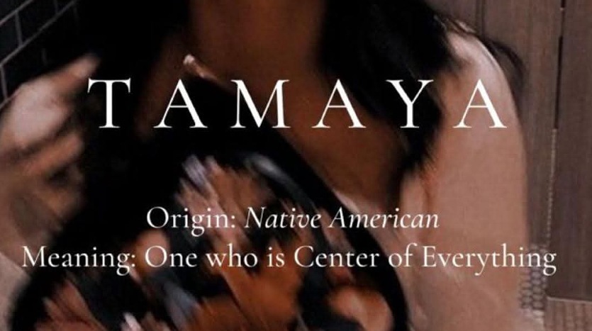 تمايا ريزيدنس الشيخ زايد Tamaya Residence