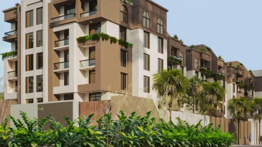 سدرة زايد الجديدة