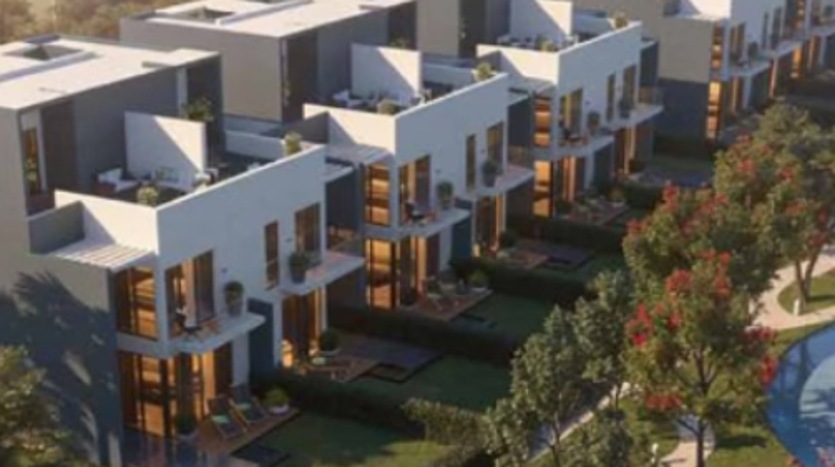 فالورا زايد الجديدة 