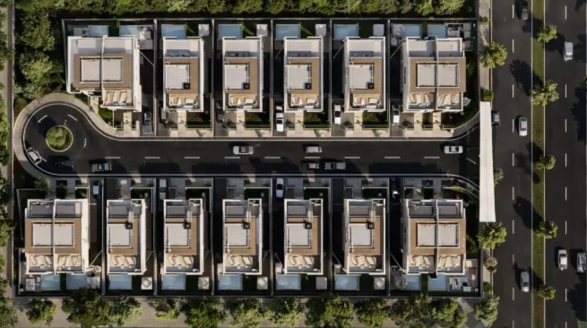 باي الشيخ زايد 