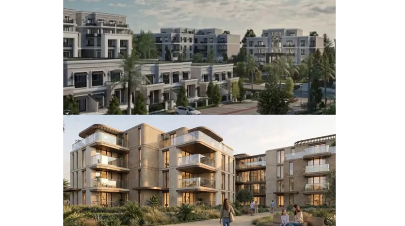 أبرز مشاريع الشيخ زايد 